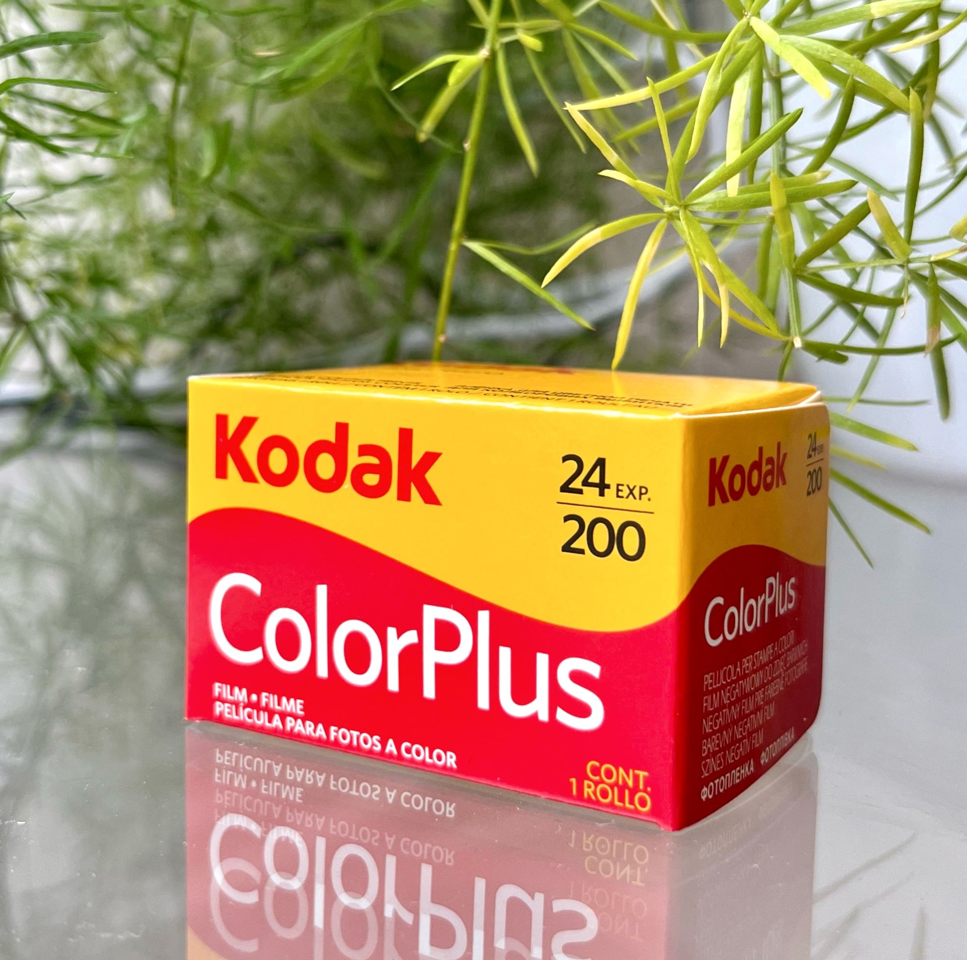 KODAK ColorPlus 200 135-36 - photolix.fr