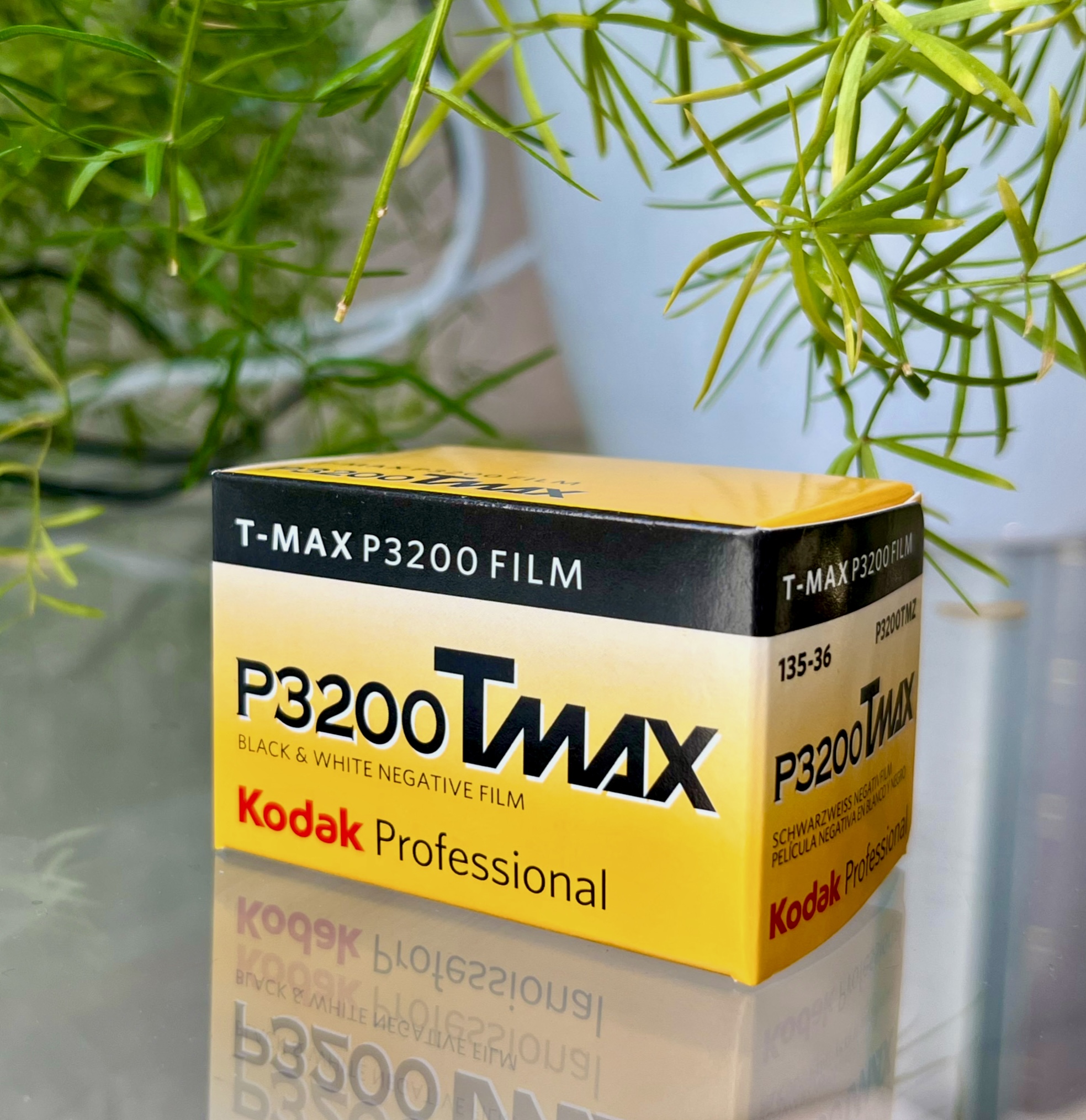 Pellicule Kodak 3200 Tmax